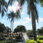 ForIMG_5609
