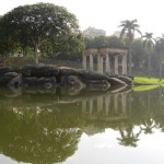 QuinIMG_5528