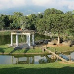 QuinIMG_5549