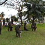 AncoraDSC_7703