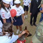 AncoraDSC_7742