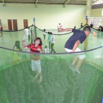AncoraDSC_7875