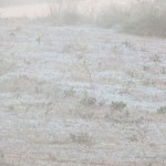 MGIMG_0186
