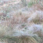 MGIMG_0189