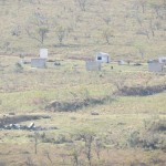 MGIMG_9963