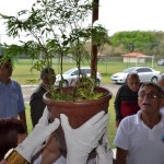 AresDSC_0767