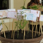 AresIMG_0673