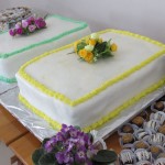 AresIMG_0686