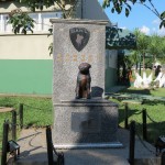 ARAMIMG_4847