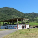 TONIMG_5457