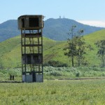 TONIMG_5459