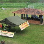 TONIMG_5486