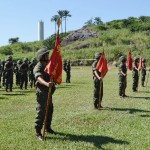 TopDSC_8593