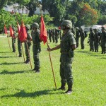 TopIMG_7361
