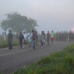 ACAMPDSC_5378
