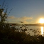ACAMPDSC_5453