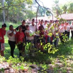 ACAMPIMG_2219