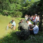 ACAMPIMG_2250