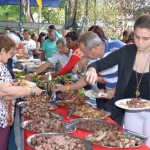 PaiVDSC_4602