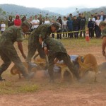 AcampIMG_1319