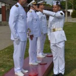 HumDSC_7848